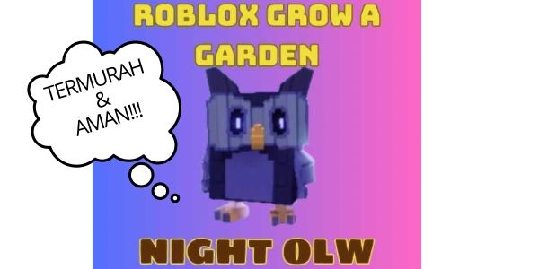 Night Owl