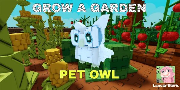 OWL PET