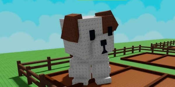 "Pet Dog 30Kg - Grow a Garden"