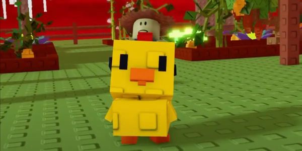 Chicken zombie - Grow a garden limited pet