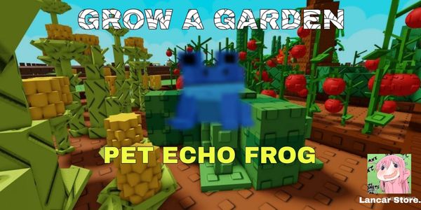 PET ECHO FROG