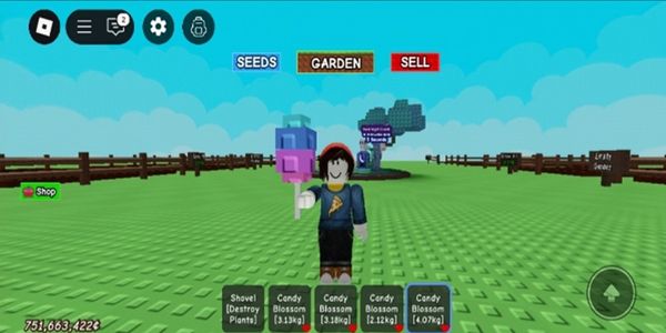 Akun Grow A garden 500M Coin 10 candy blossom fruit 10 easter egg fruit