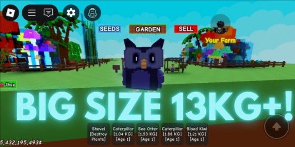 BIG SIZE < NIGHT OWL | Grow A Garden