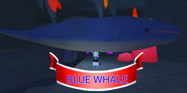 Blue whale fish
