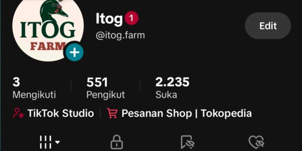 TikTok Account 500+ Followers