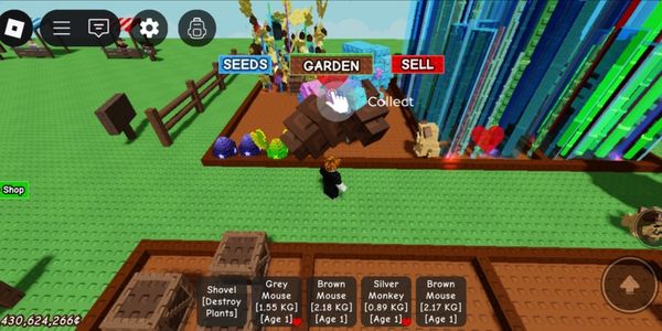 Account Grow A Garden with 1 Candy Blossom