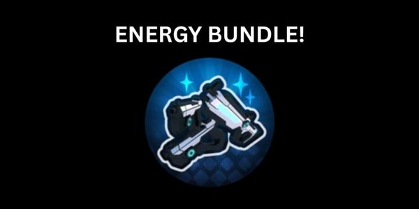 Energy Bundle