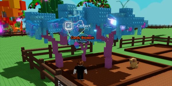 Buy Account AKUN (DATPOL) 4 CANDY BLOSSOM TREE Grow A Garden 3528483 ...
