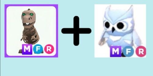 MFR Skele-Rex + MFR Snow Owl