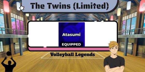 "The Twins Account (Limited)"