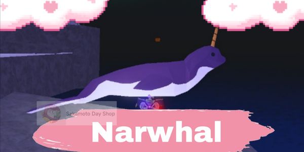 Narwhal - Fish