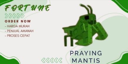 Praying Mantis | Grow A Garden