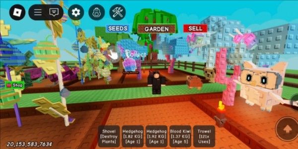 Account 3 candy blossom tree + bonus 20B & Pets Datpol no hat