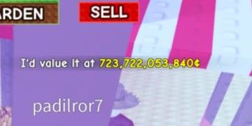 723B Sheckless