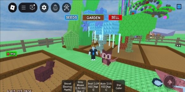 Akun Grow A garden 1 pohon moon blossom 3 pohon Beanstalk 1 pohon cacao Banyak pet divine Coin 6B sheckles