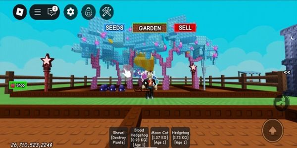 6 Candy Blossom 4 Easter egg 25B Coin - Akun grow A garden