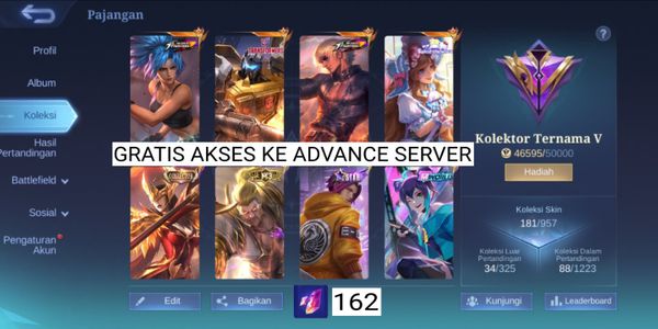 ADVANCE SERVER ACCOUNT GG AND AFFORDABLE