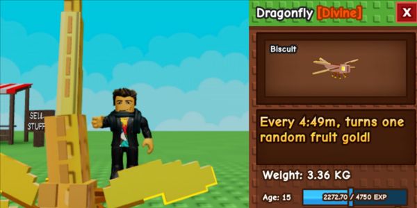 Dragon Fly - Divine