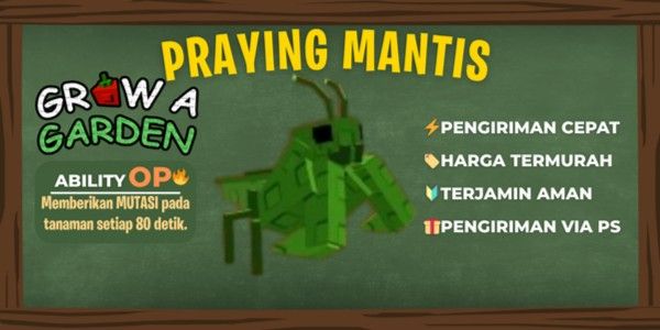 Praying Mantis + Bonus Random Pet