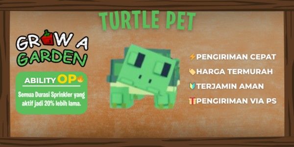 Turtle + Bonus Random Pet