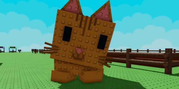 Huge Orange Tabby Pets - Grow a Garden