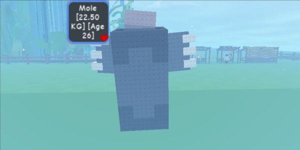 BIG PETS | BIG PET | MOLE.