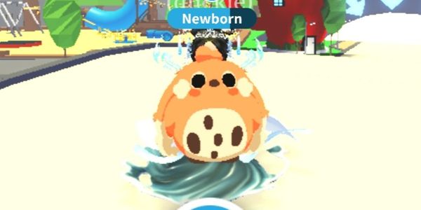 Cabbit - Adopt Me Pet
