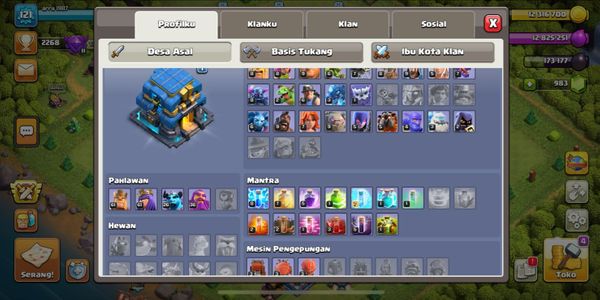 CHEAPEST TOWN HALL 16 with warranty