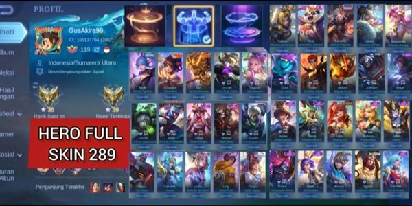 SKIN 289 | RECCAL TLPH , 2 RECCAL EPIC | TERNAMA 2