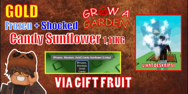 GOLD + SHOCKED + FROZEN CANDY SUNFLOWER (1.11KG) - Grow a Garden