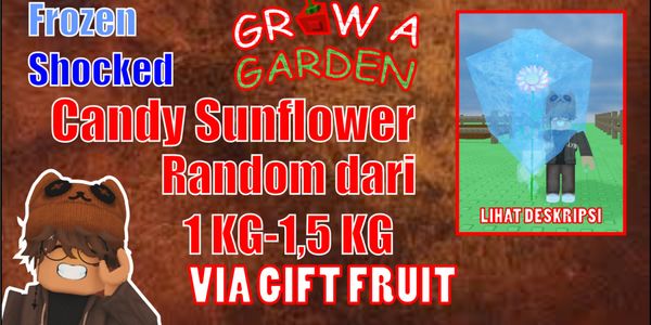 (RANDOM 1-1.5KG) SHOCKED + FROZEN CANDY SUNFLOWER - Grow a Garden