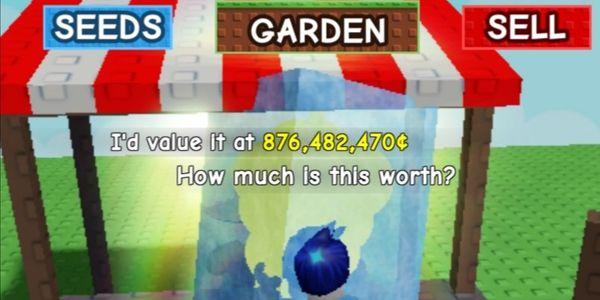 800M COINS