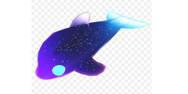 gloomy dolphin