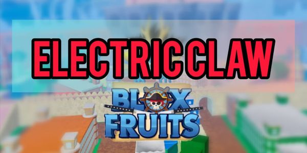 Fighting Style - Electric Claw