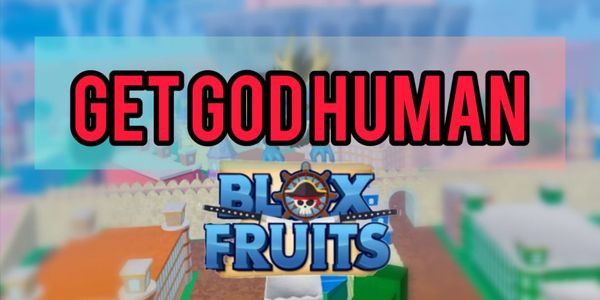Fighting Style - Godhuman
