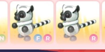 LEMUR EXOTIC