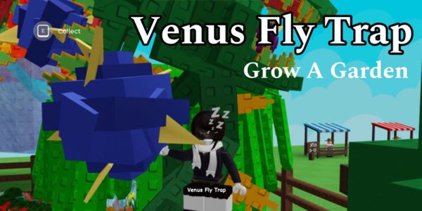 Venus fly trap - Grow A Garden