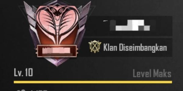 KLAN PUBG / CLAN PUBG (LEVEL 10 MAX)