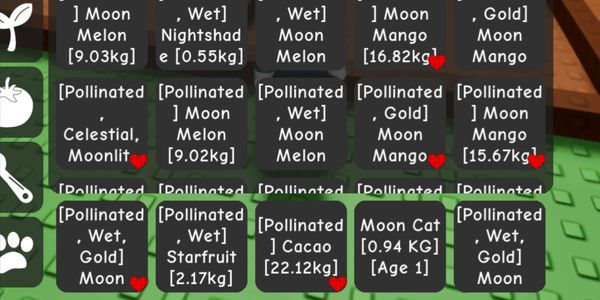 100 pollinated/honey poin