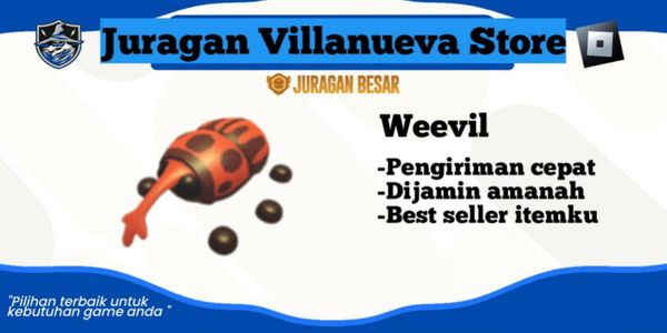 Weevil