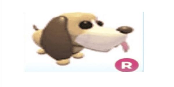 ride bloodhound