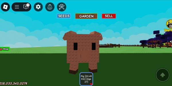 Huge Pig - Grow A Garden