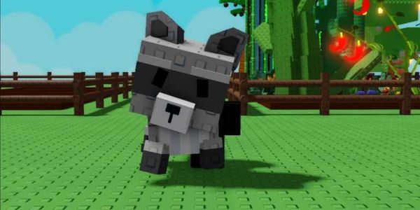 Raccoon (Grow A Garden)