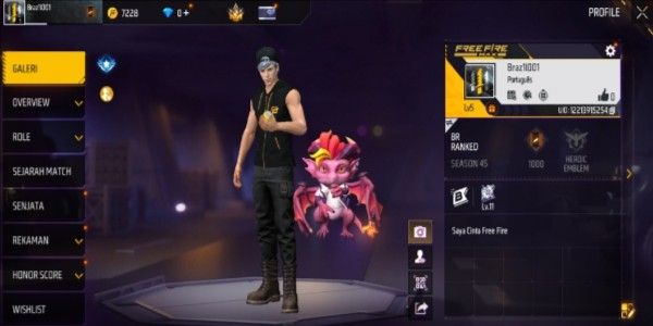 Akun Free Fire Server Brazil