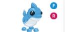 Shark Puppy FR > pet Adopt me