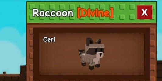 Raccon (Pets) - Grow A Garden (GAG)