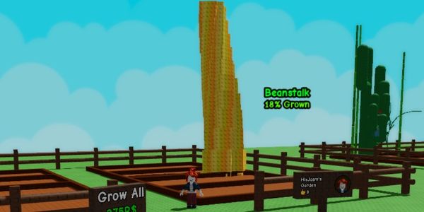 Akun Golden Beanstalk (Raw Data)