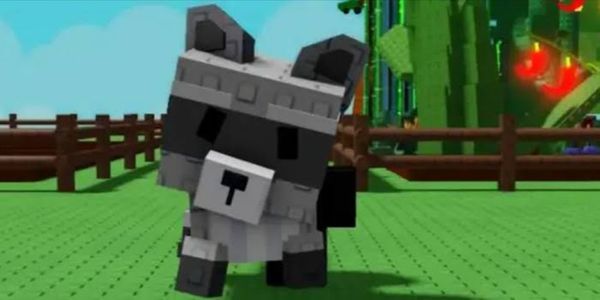 Raccon | Grow A Garden