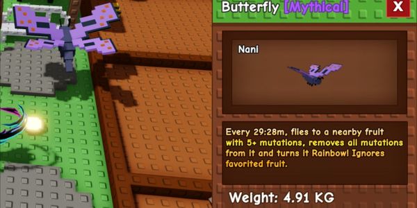 Butterfly
