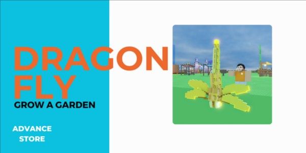 Dragon Fly - Pet (Random Weight)